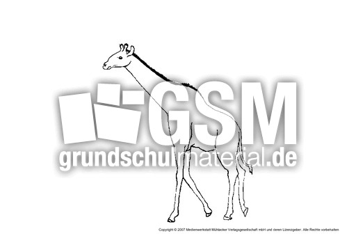 Giraffe-2.pdf